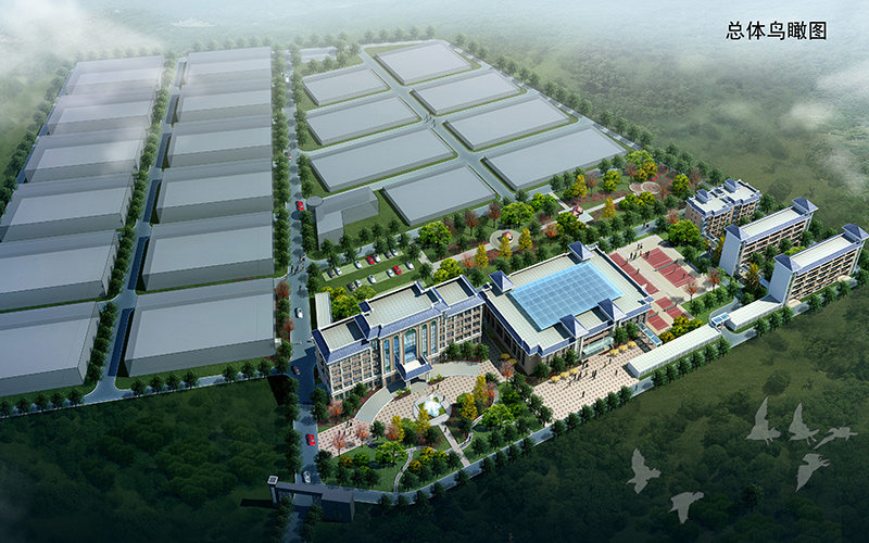 市政道路工程監(jiān)理工作舉措,都可以從哪些層面分析